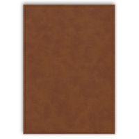 Sans logo - Terre d'Ombre - Couverture similicuir